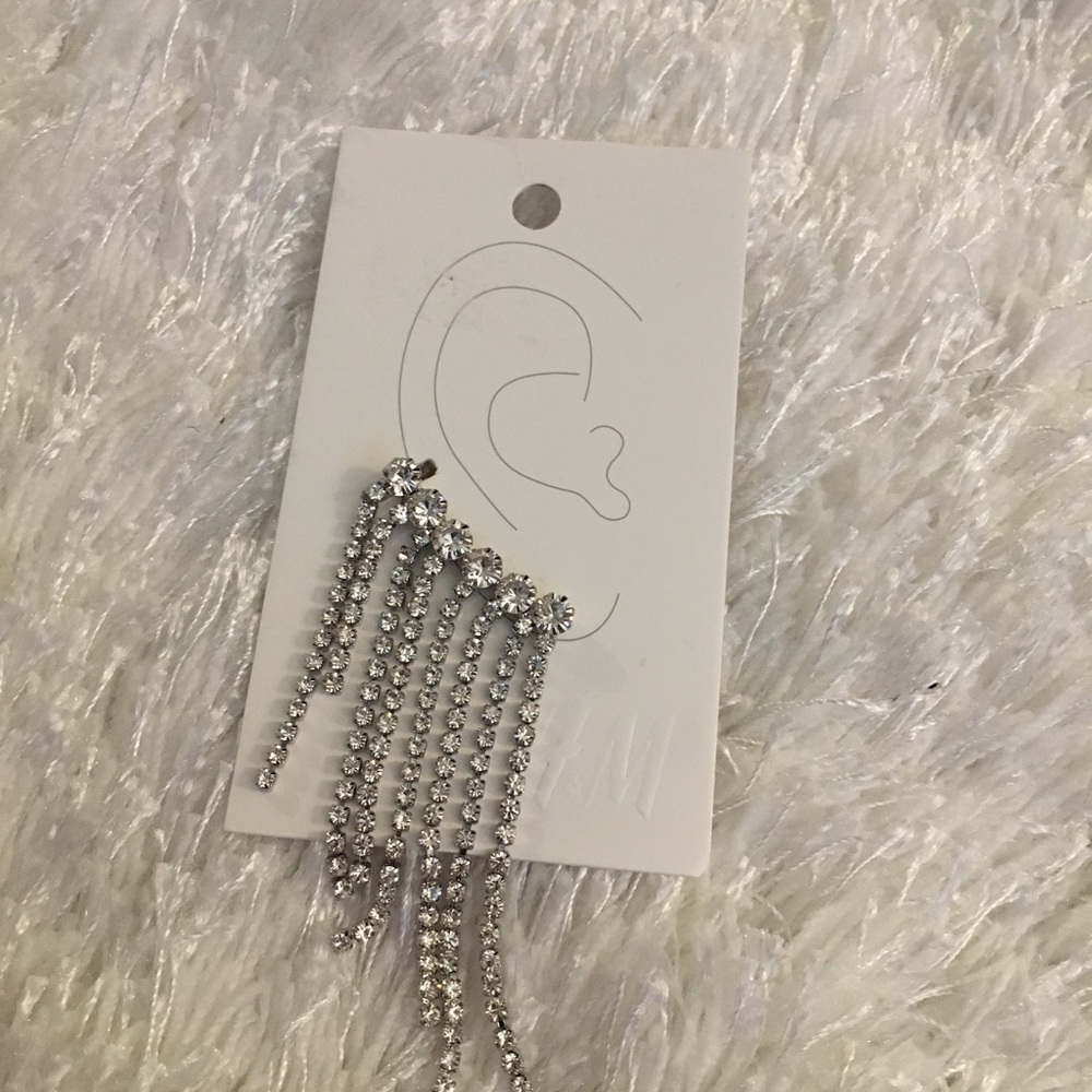 NWT H&M Earring